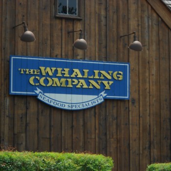 The Whaling Company