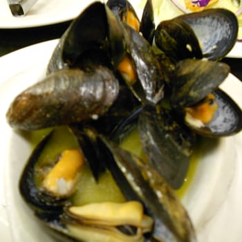Mussels